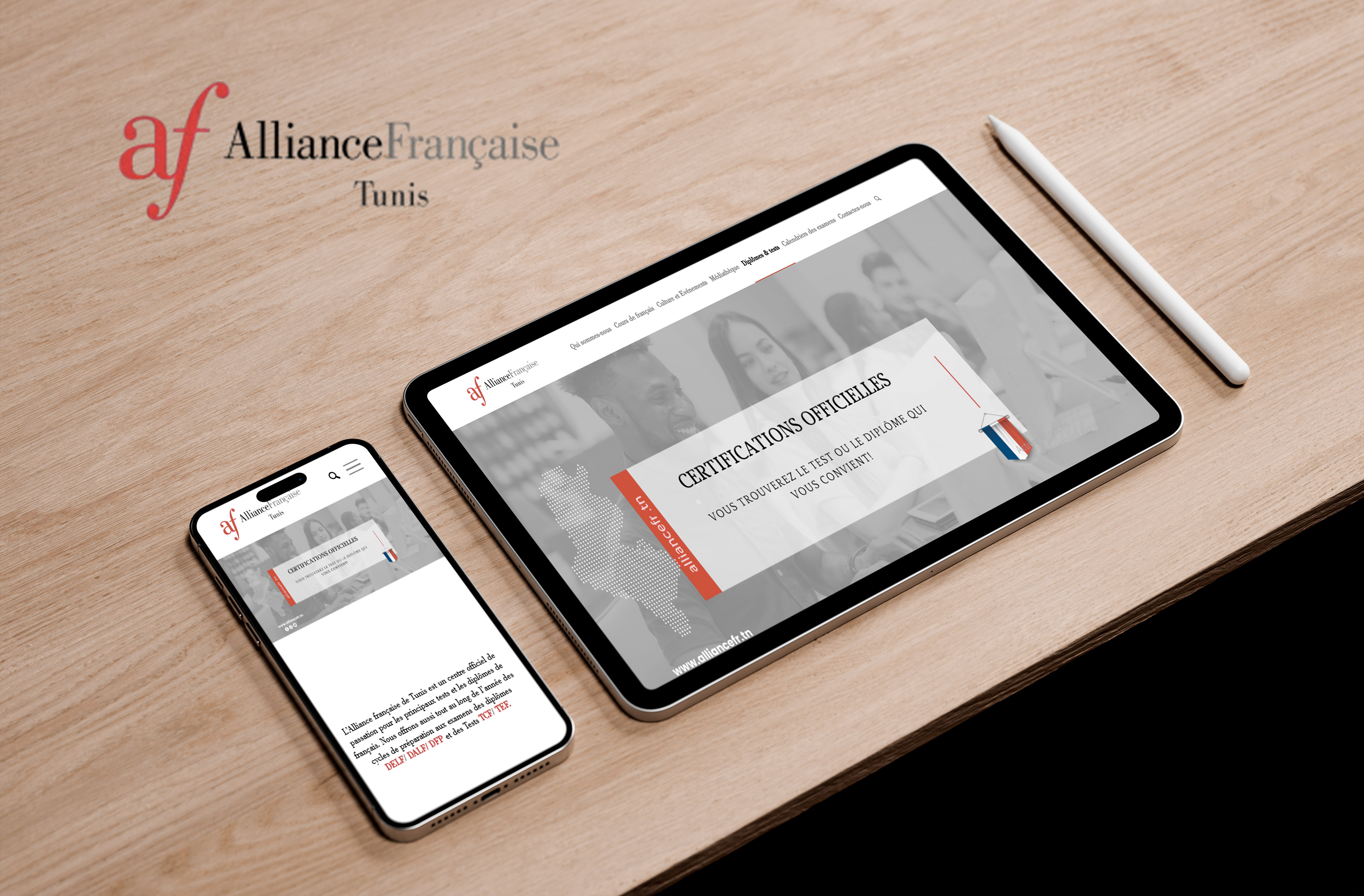Alliancefr Website Design